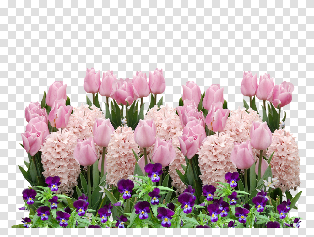 Spring 960, Flower, Plant, Blossom, Geranium Transparent Png