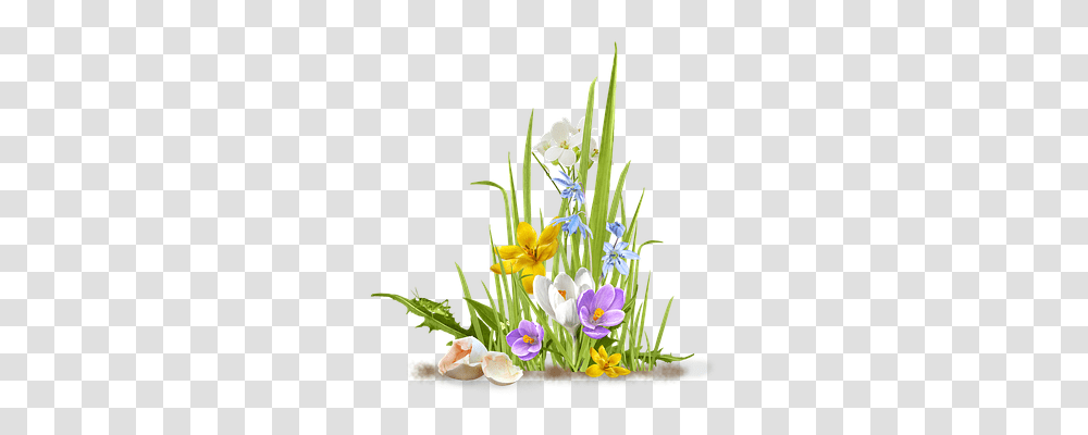 Spring Nature, Plant, Ikebana Transparent Png