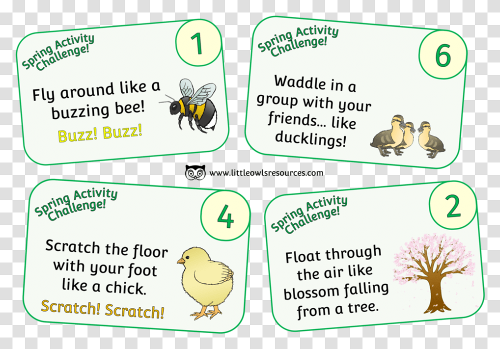 Spring Activity Challenge Cards Cartoon, Bird, Animal, Paper Transparent Png