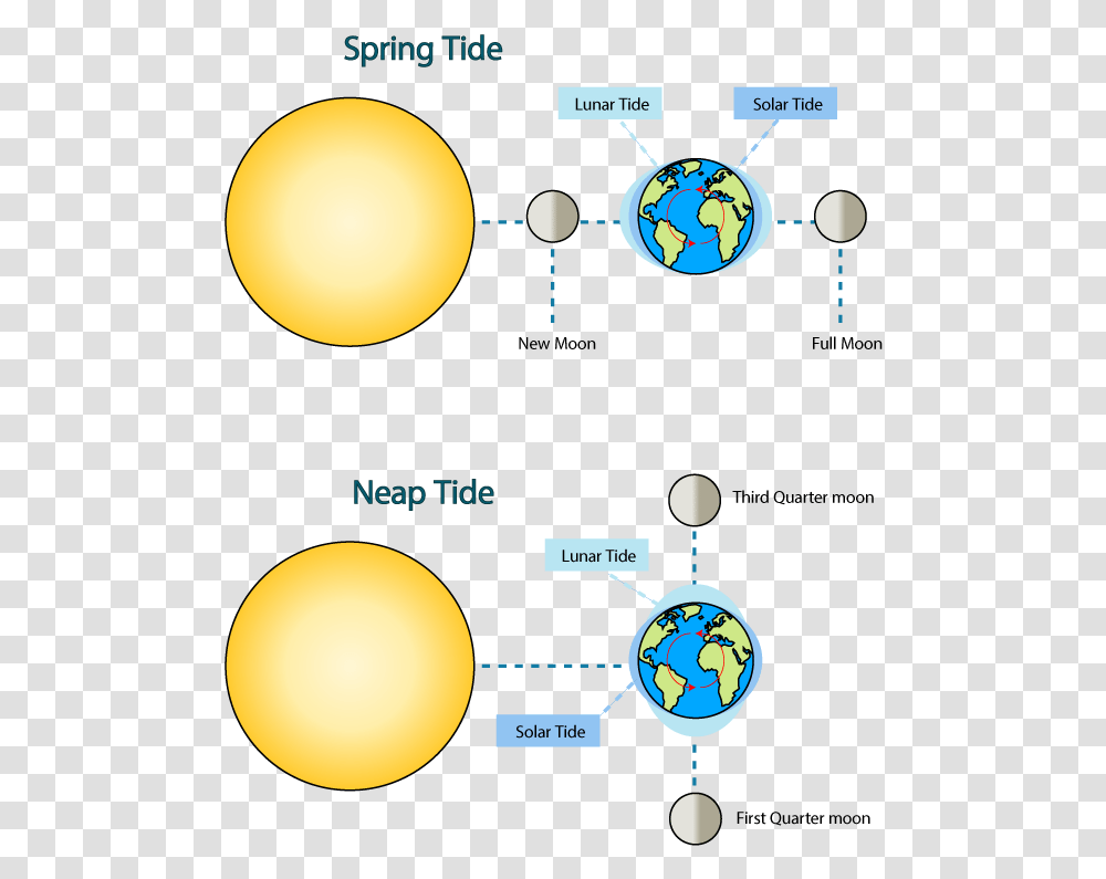 Spring And Neap Tides Neap Tide Moon Position, Astronomy, Sphere, Outer Space, Universe Transparent Png
