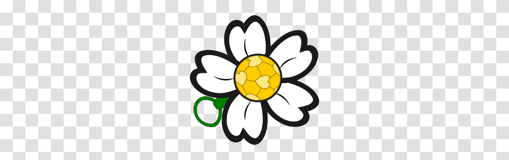 Spring Babby Cup, Flower, Plant, Daisy, Soccer Ball Transparent Png