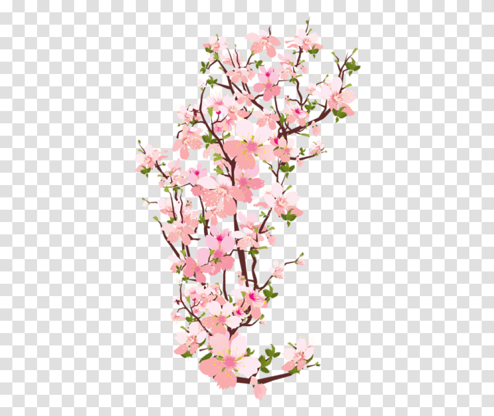 Spring Background Samurai Black And White, Plant, Cherry Blossom, Flower Transparent Png