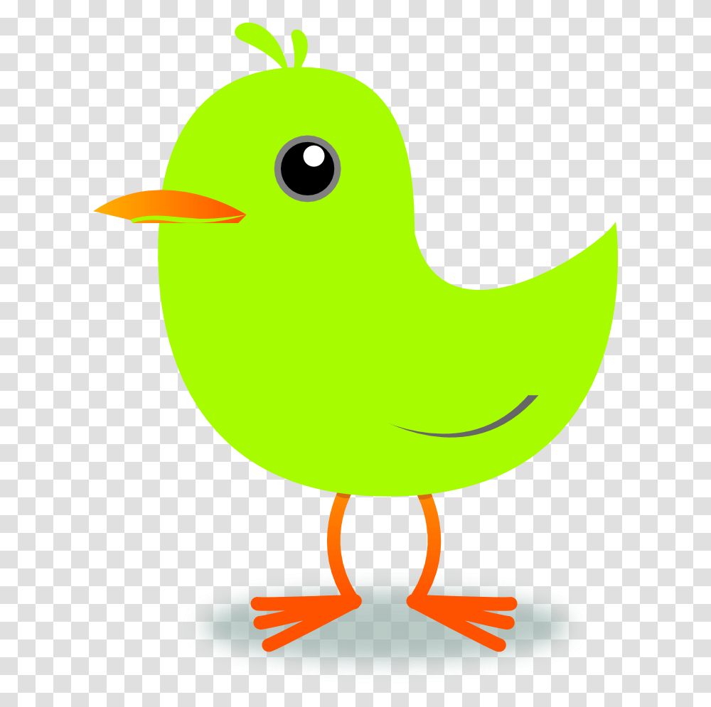 Spring Birds Clipart, Animal, Fowl, Poultry Transparent Png