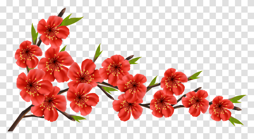 Spring Branch Clipart Image Cherry Blossom Red Flowers Transparent Png