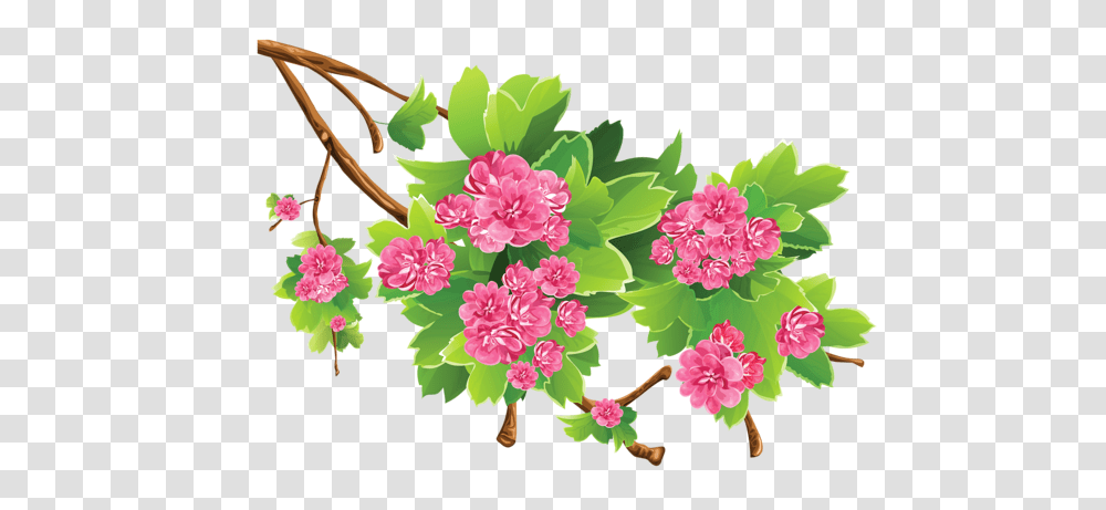 Spring Branch Clipart Picture Flores Y, Plant, Flower, Blossom, Geranium Transparent Png