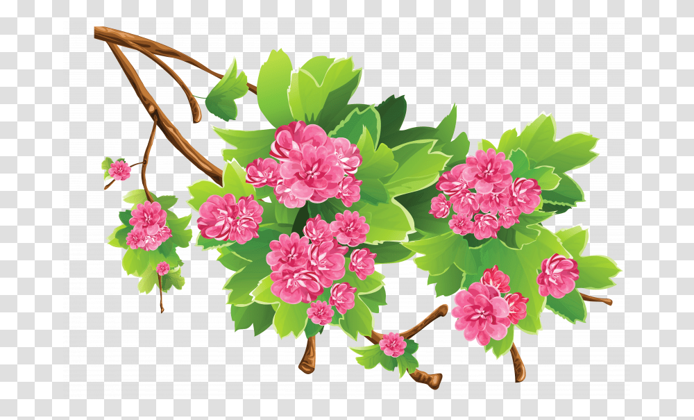 Spring Branch Clipart Picture, Plant, Flower, Blossom, Carnation Transparent Png