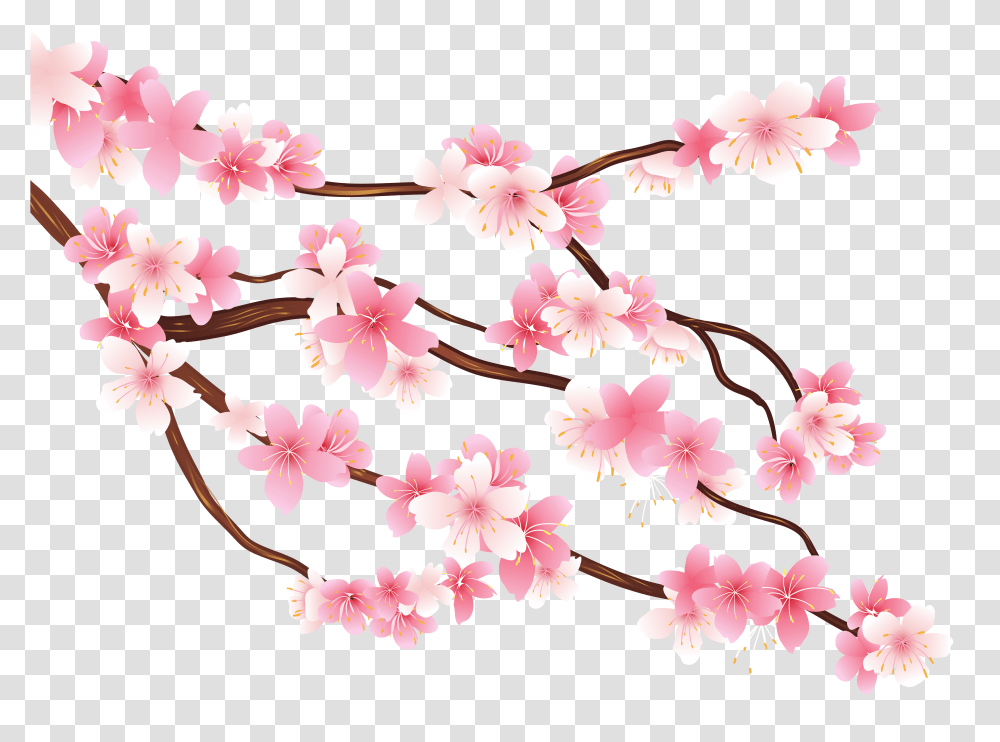 Spring Branch Images Cherry Blossom Flower, Plant Transparent Png