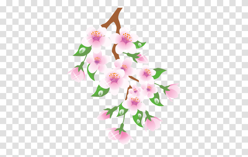 Spring Branch Pink Clipart Flower With Branches, Graphics, Floral Design, Pattern, Plant Transparent Png