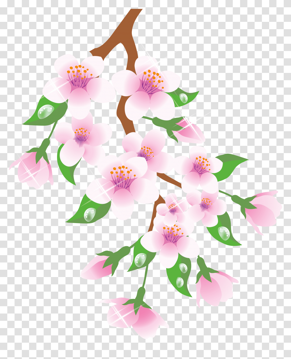 Spring Branch Pink Clipart Spring Branch Clipart, Plant, Floral Design, Pattern Transparent Png