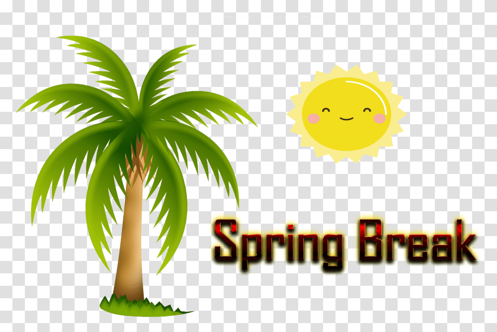 Spring Break Image, Plant, Vegetation, Tree, Palm Tree Transparent Png