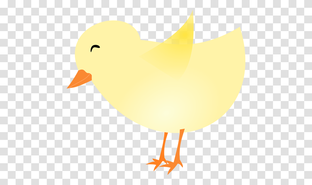 Spring Chick Spring Chick Clip Art, Bird, Animal, Lamp, Kiwi Bird Transparent Png