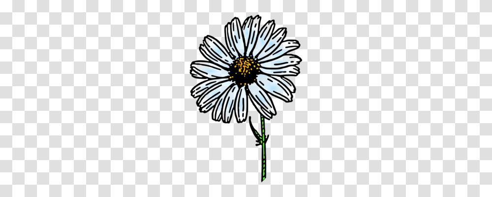 Spring Cleaning Flower Clock April Shower, Plant, Daisy, Daisies, Blossom Transparent Png