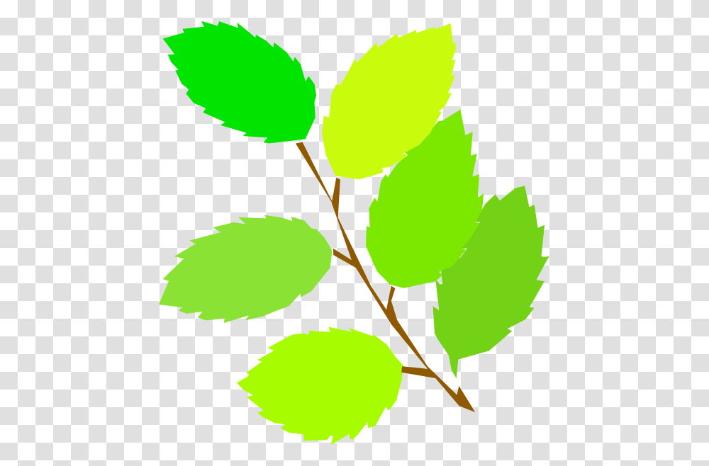 Spring Clip Art Cartoon, Green, Leaf, Plant, Veins Transparent Png
