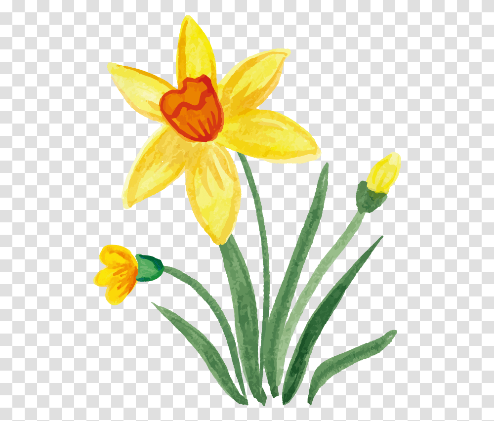 Spring Clip Art Flowers With Leaves Drawing, Plant, Blossom, Daffodil Transparent Png
