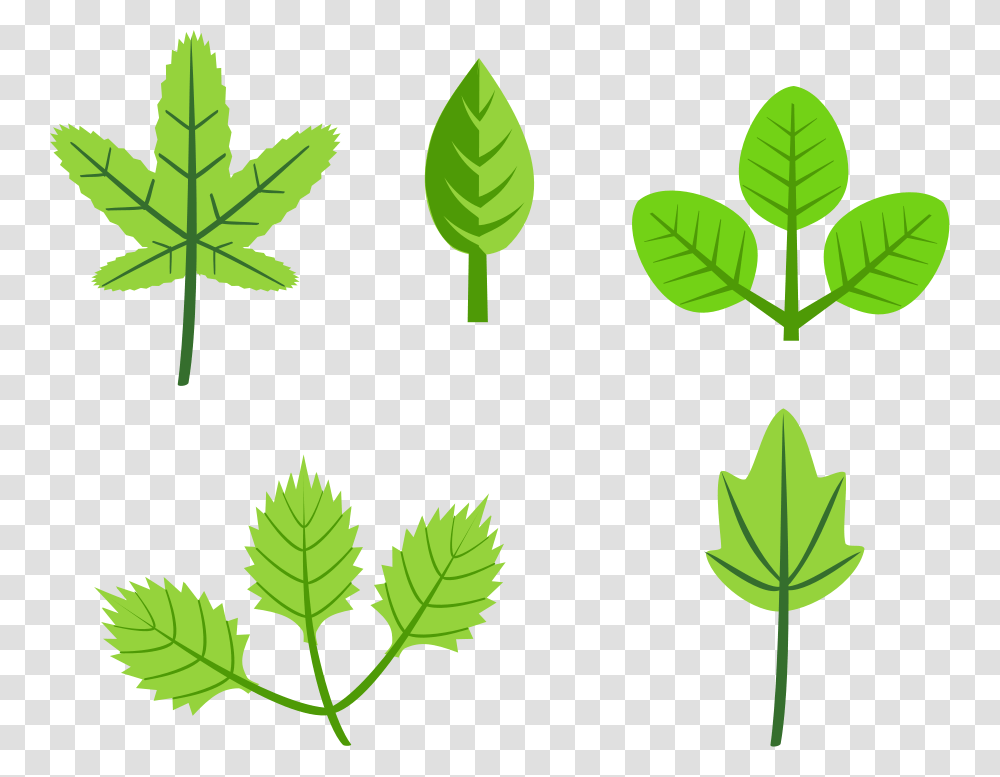 Spring Clip Art Free, Leaf, Plant, Green, Vegetation Transparent Png