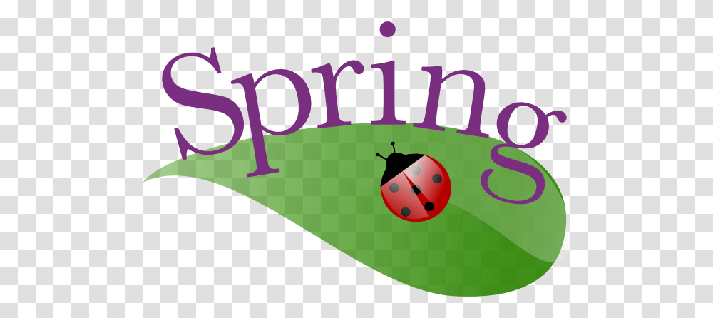 Spring Clip Art, Giant Panda, Sport, Bowling Transparent Png