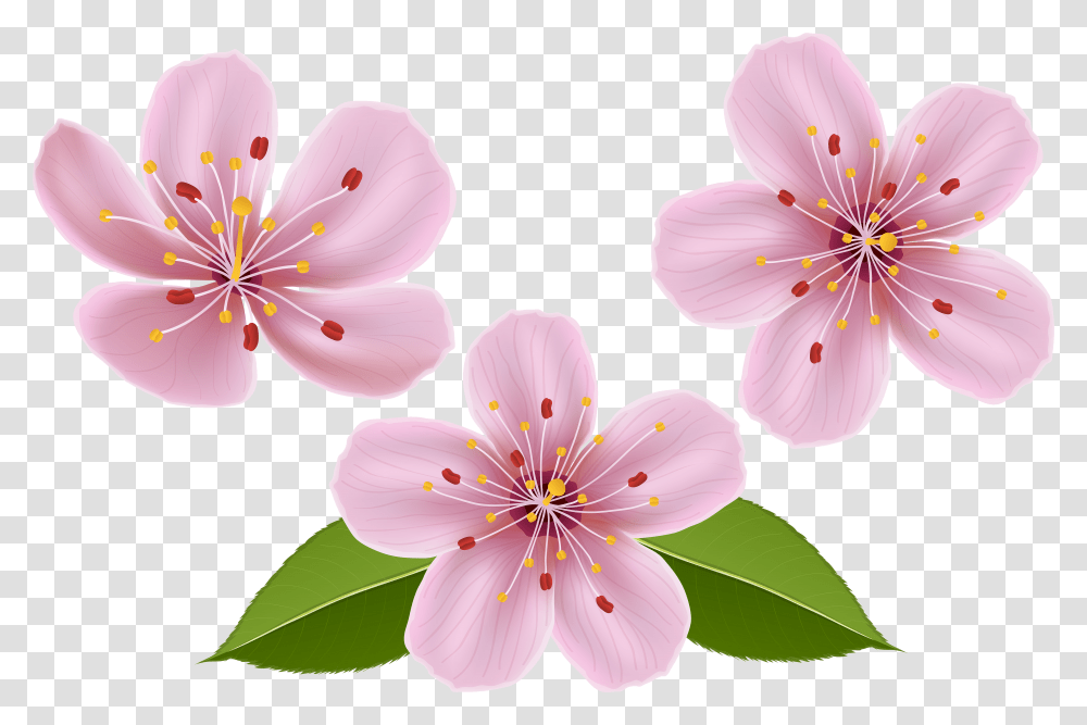 Spring Clip Art Image Background Flowers Clip Art No Background Transparent Png
