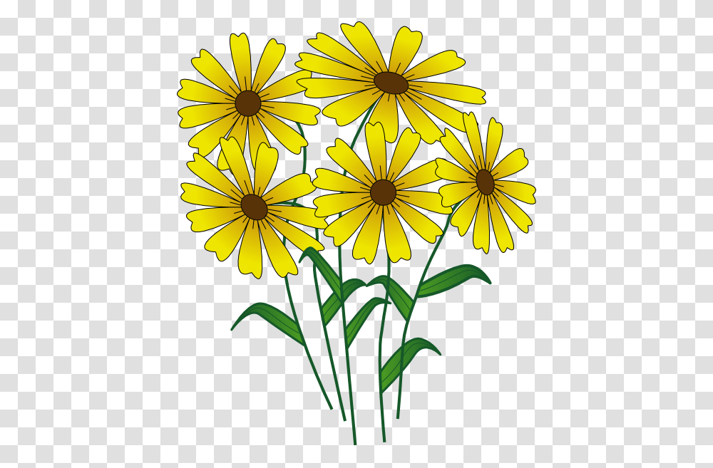 Spring Clip Art, Plant, Flower, Blossom, Daisy Transparent Png