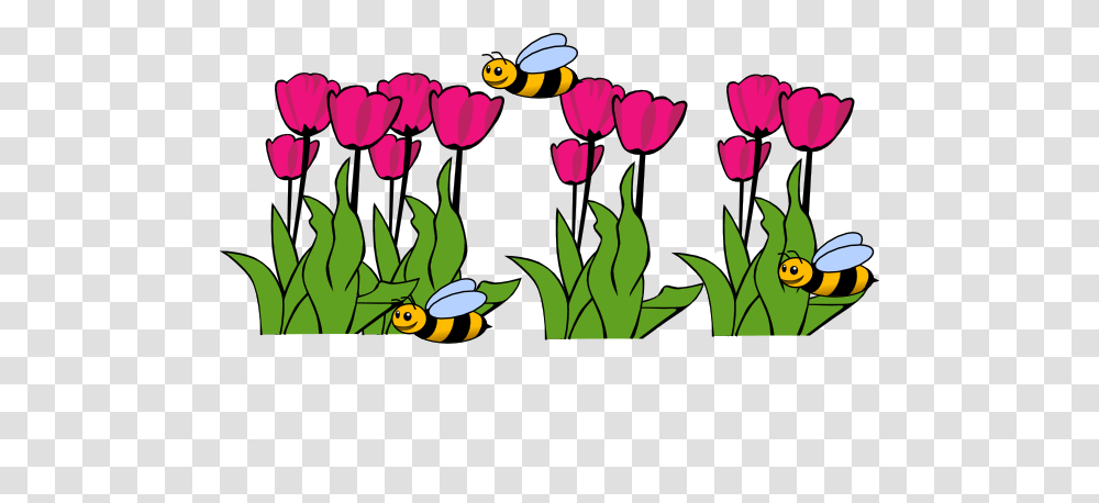 Spring Clip Art, Plant, Tulip, Flower, Blossom Transparent Png