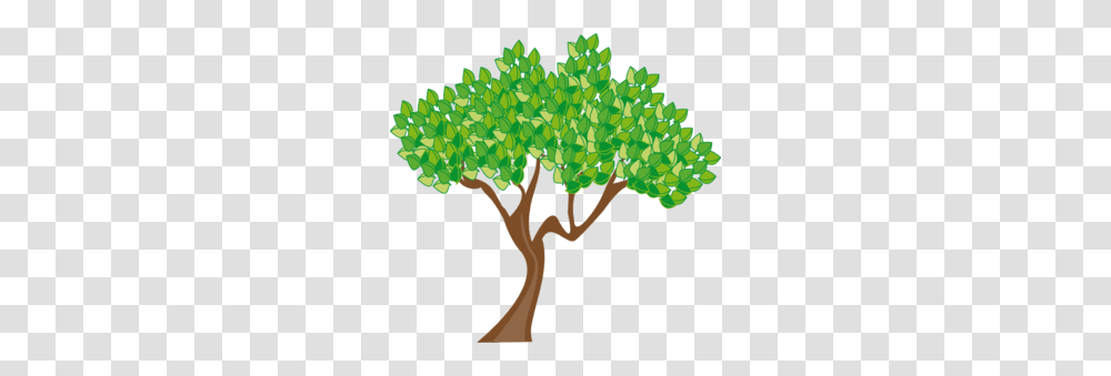 Spring Clip Art Spring Season, Bush, Vegetation, Plant, Tree Transparent Png