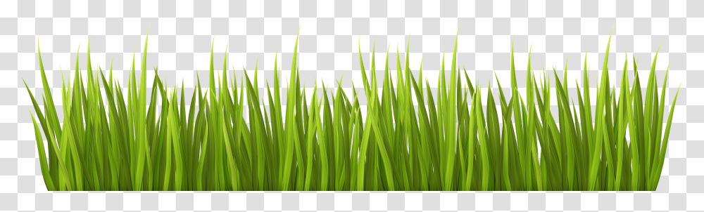 Spring Clip Grass Clipart Transparent Png