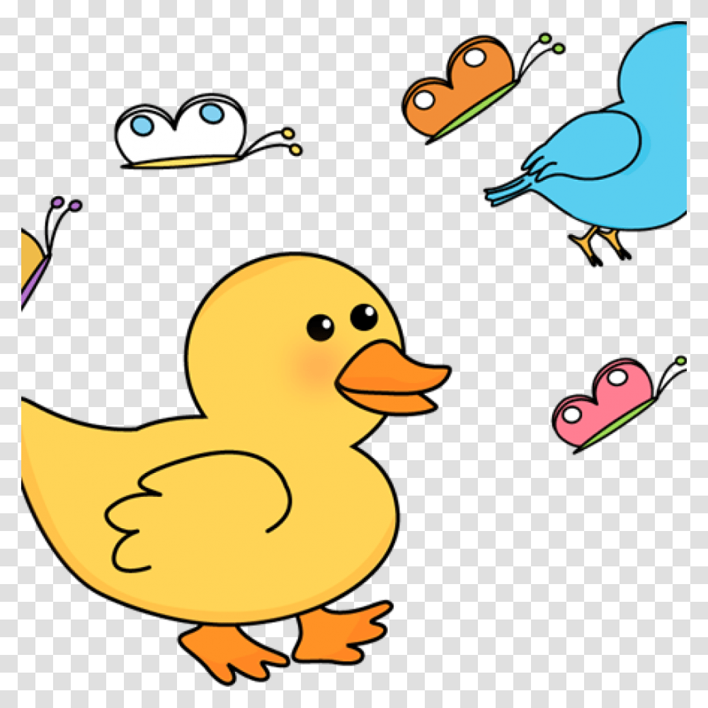 Spring Clipart Free Free Clipart Download, Bird, Animal, Duck, Halloween Transparent Png