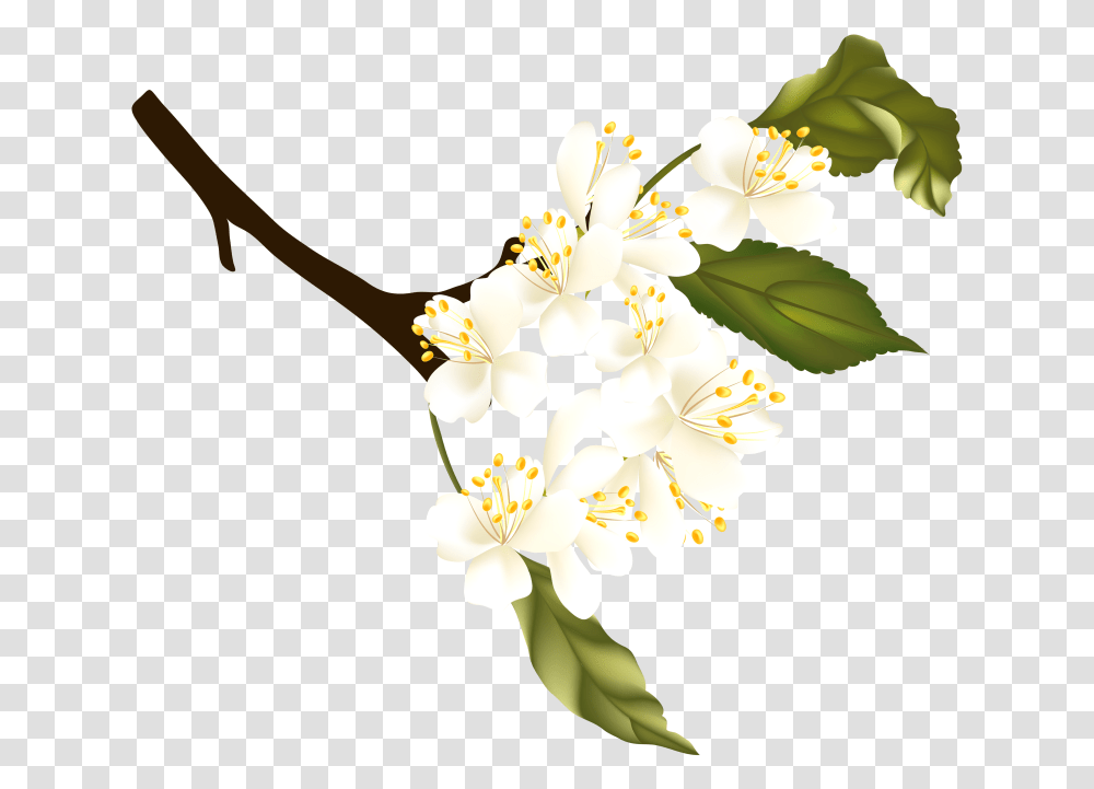 Spring Clipart Portable Network Graphics, Plant, Flower, Blossom, Pollen Transparent Png