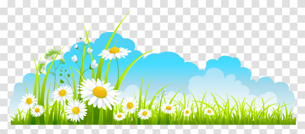Spring Clipart Spring Clipart, Plant, Daisy, Flower Transparent Png