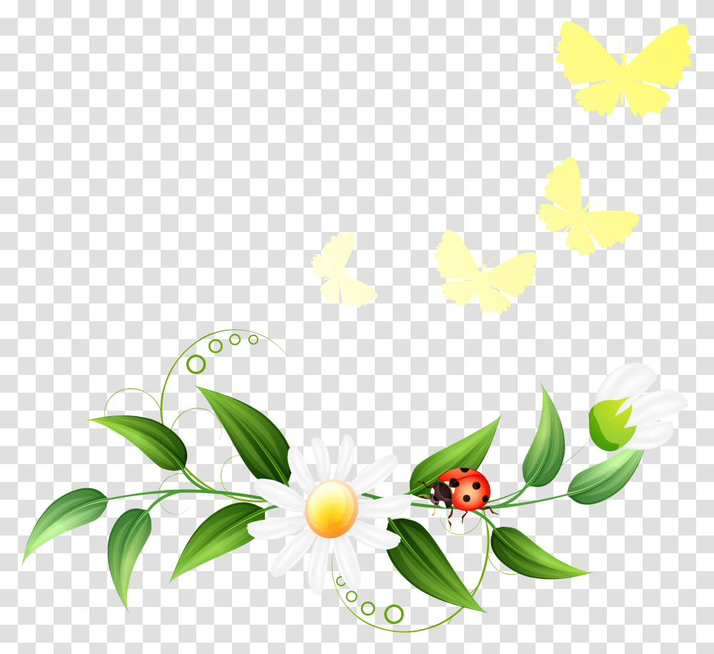 Spring Clipart Spring Decorations, Plant, Flower, Leaf, Daisy Transparent Png