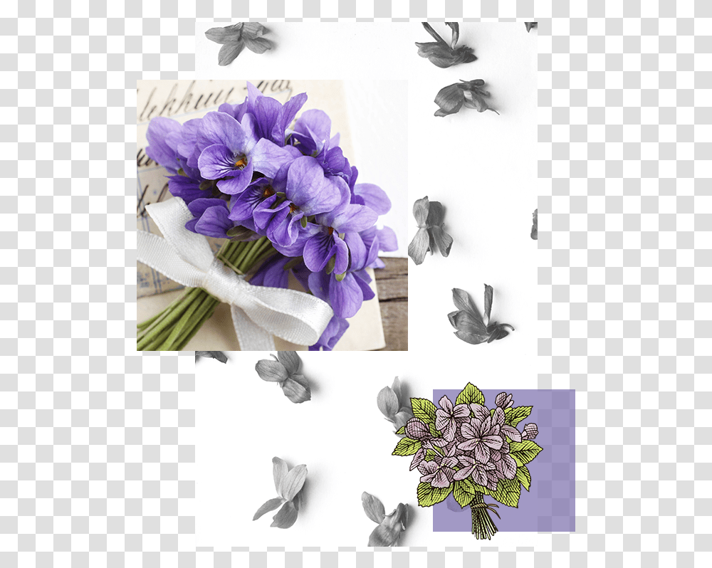 Spring Crocus, Plant, Bird, Flower, Geranium Transparent Png