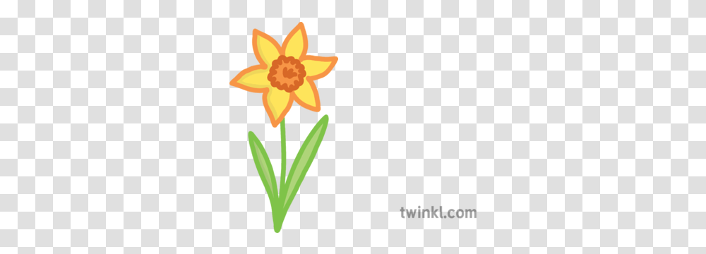 Spring Daffodil Flower All About Me Emoji Worksheet English Susan, Plant, Blossom, Flower Arrangement, Tulip Transparent Png