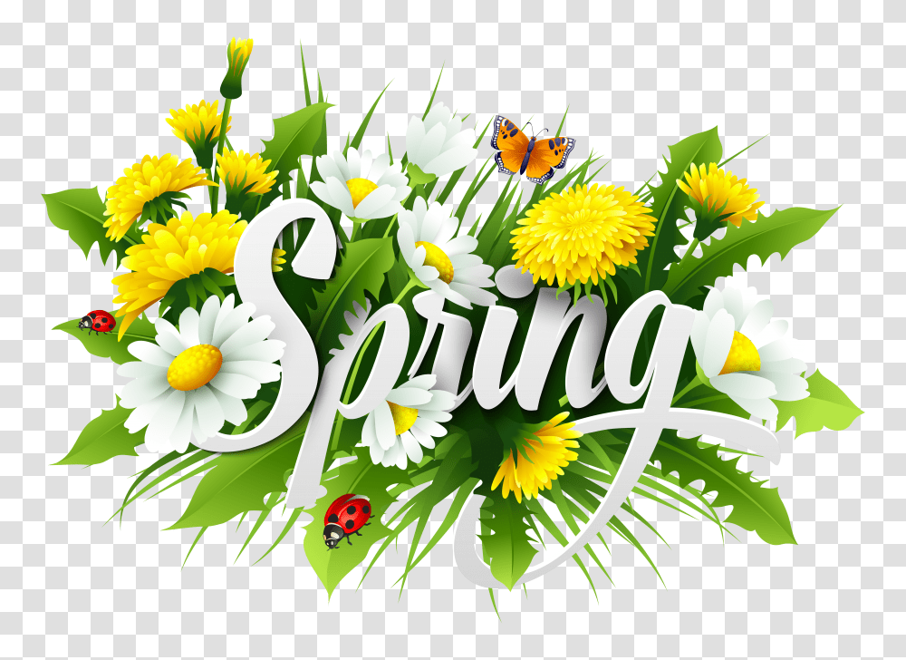 Spring Decorative Image, Plant, Floral Design Transparent Png