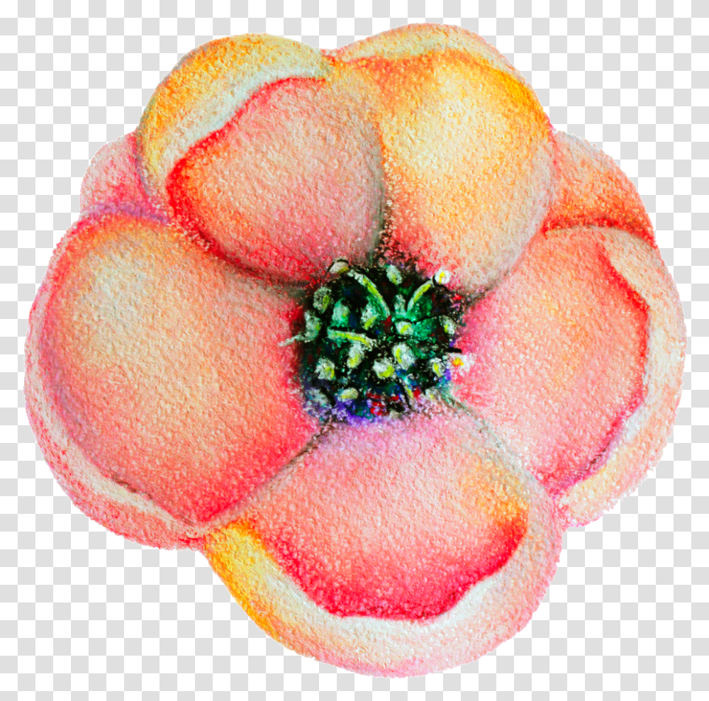 Spring Flower Bloom Decoration Vector Artificial Flower, Plant, Geranium, Anemone, Anther Transparent Png