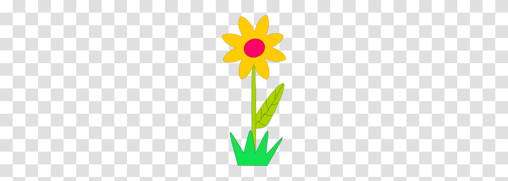 Spring Flower Clip Art Free Vector, Plant, Blossom, Daffodil, Tulip Transparent Png