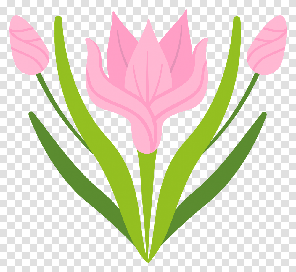 Spring Flower Clipart Free Download Language, Plant, Petal, Iris, Geranium Transparent Png