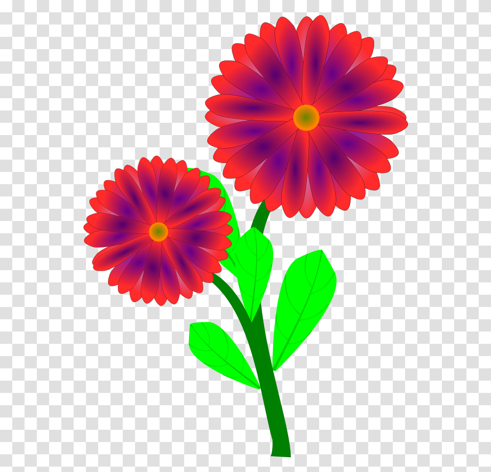 Spring Flower Clipart Vector Wild Flower Clip Art, Plant, Petal, Daisy, Pattern Transparent Png