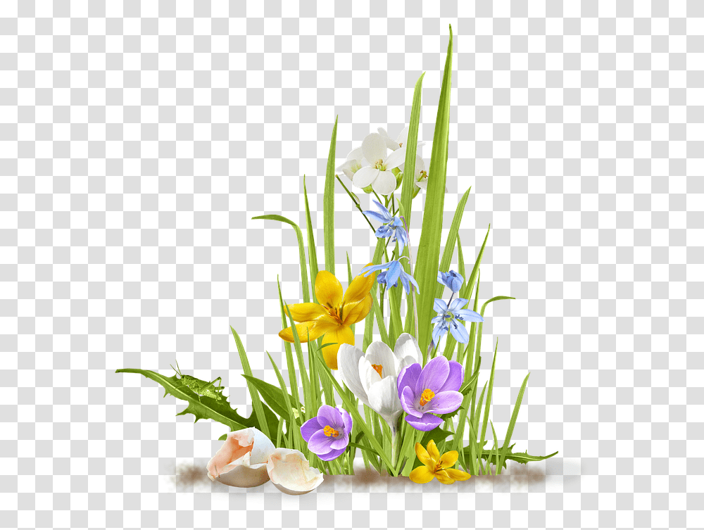 Spring Flower Crocus Saffron Grass Shell Egg Flowers And Grass, Ikebana, Vase, Ornament Transparent Png