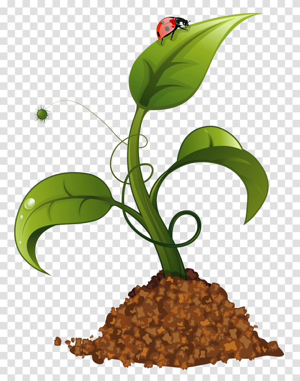 Spring Flower Crop Clip Art, Green, Plant, Food Transparent Png