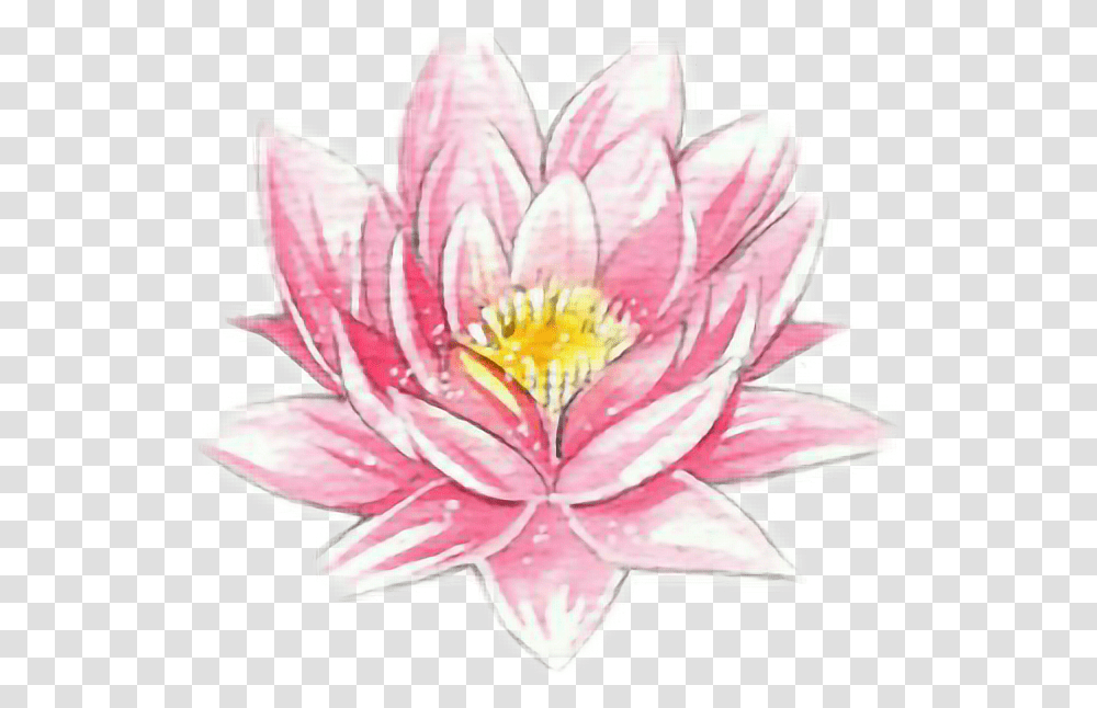 Spring Flower Pink Dibujos De Flores Realistas, Plant, Blossom, Lily, Dahlia Transparent Png