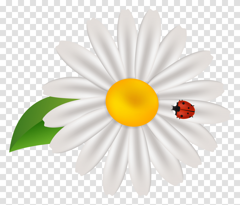 Spring Flower With Lady Bug Clip Gallery Transparent Png