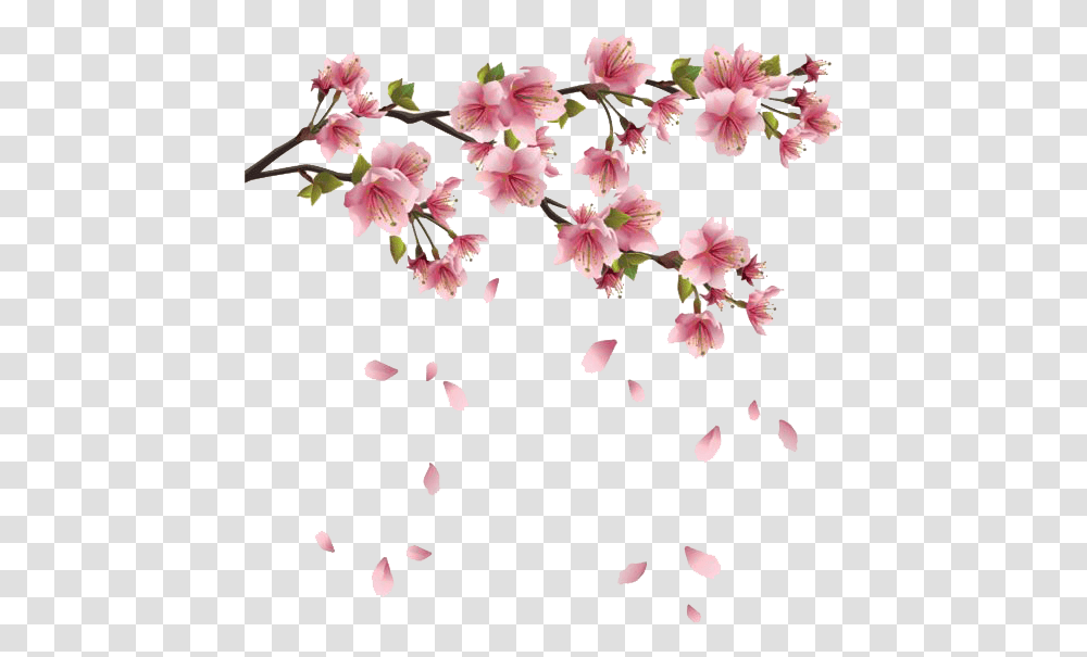 Spring Flowers Branches Spring, Plant, Blossom, Petal, Cherry Blossom Transparent Png