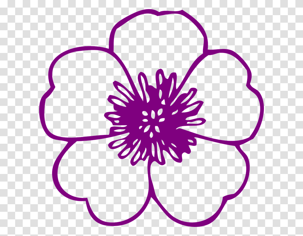 Spring Flowers Clip Art Black And White, Plant, Purple, Blossom, Pollen Transparent Png