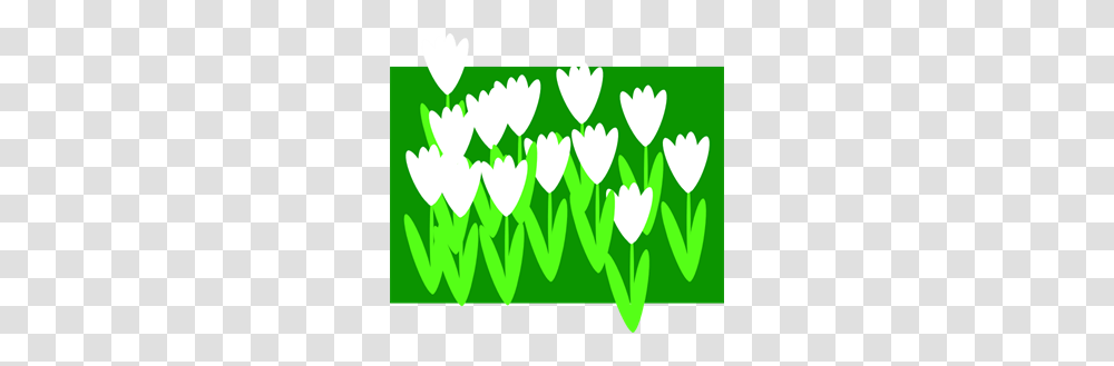 Spring Flowers Clip Art For Web, Plant, Vegetation, Jar Transparent Png