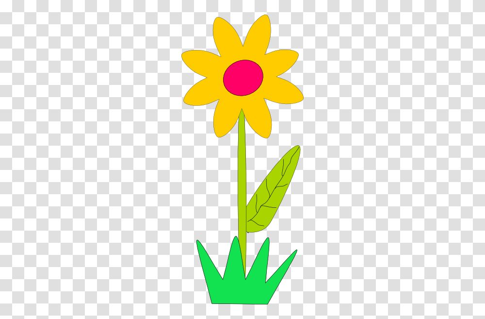 Spring Flowers Clip Art, Plant, Blossom, Daffodil, Petal Transparent Png