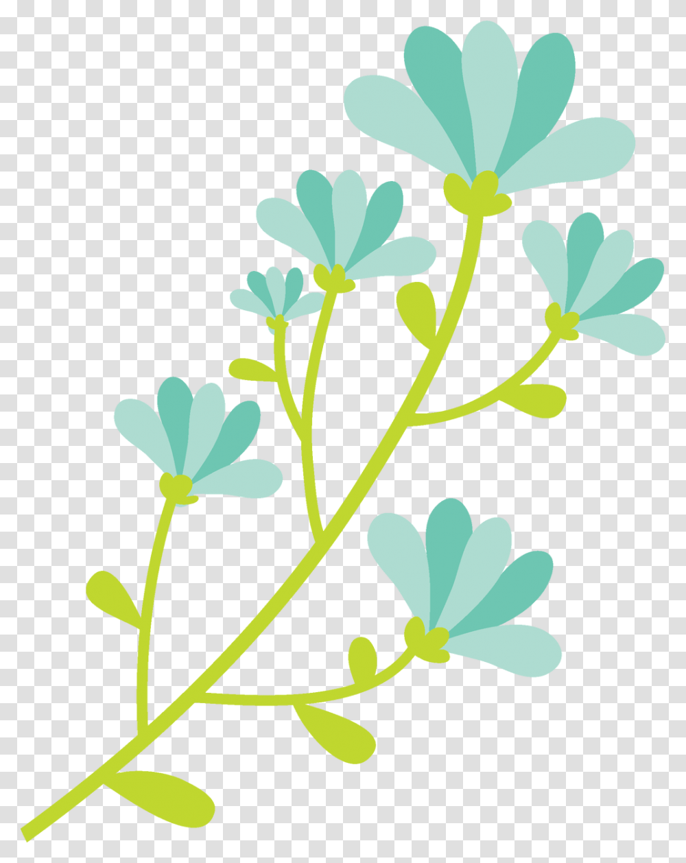 Spring Flowers Flower, Plant, Leaf, Geranium, Vase Transparent Png
