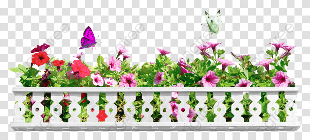 Spring Flowers Full Bloom Balcony Clipart, Plant, Potted Plant, Vase, Jar Transparent Png