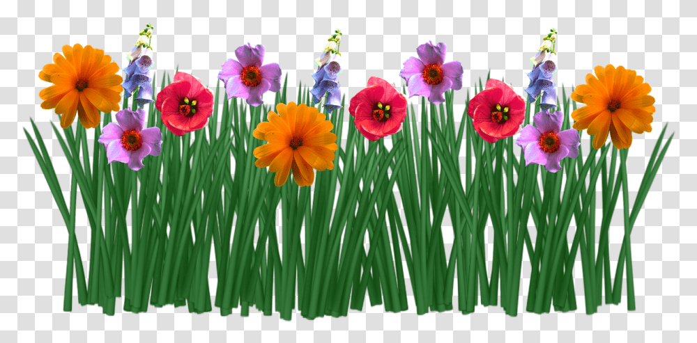 Spring Flowers Grass Meadow Picpng Flowers In Grass Drawing, Plant, Blossom, Petal, Daffodil Transparent Png