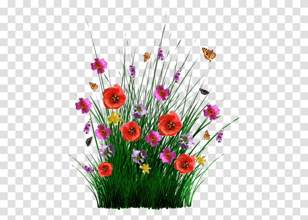 Spring Flowers Grass, Plant, Floral Design, Pattern Transparent Png