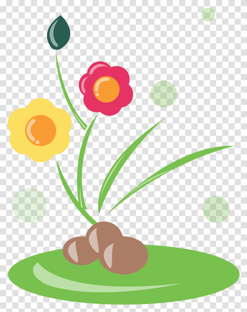 Spring Flowers Nature Pink Yellow Spring Flower Vector, Plant, Graphics, Art, Floral Design Transparent Png