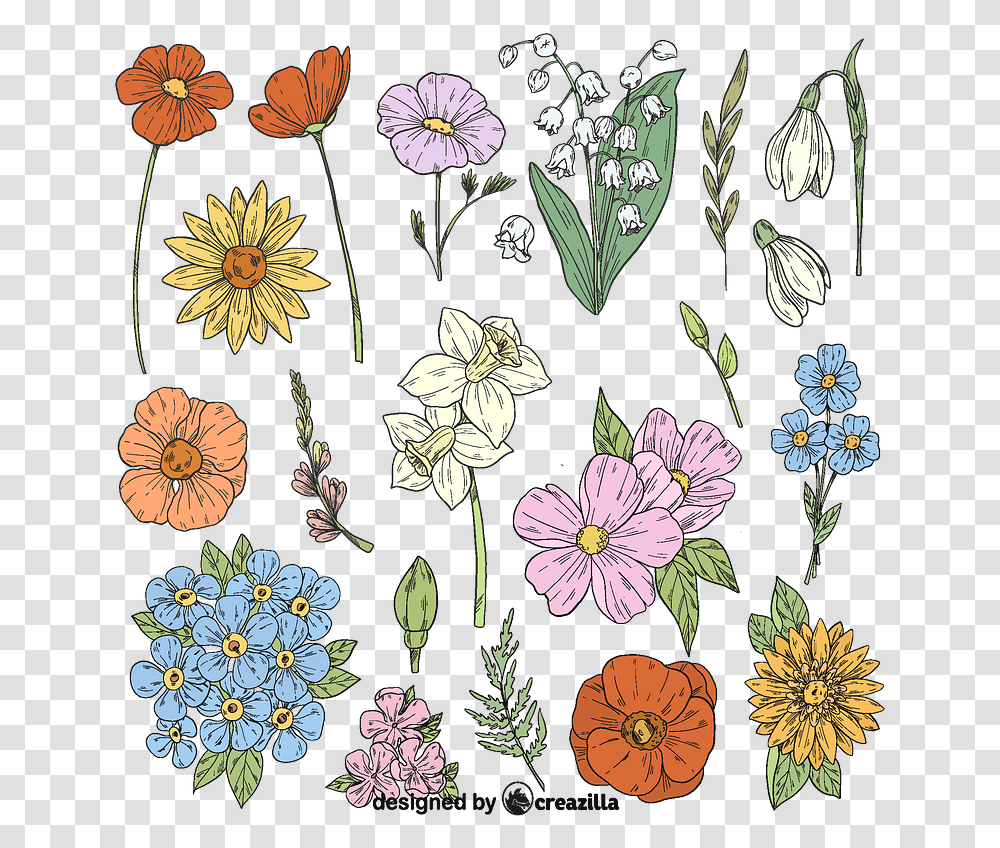 Spring Flowers Vector Flower Vector, Floral Design, Pattern, Graphics, Art Transparent Png